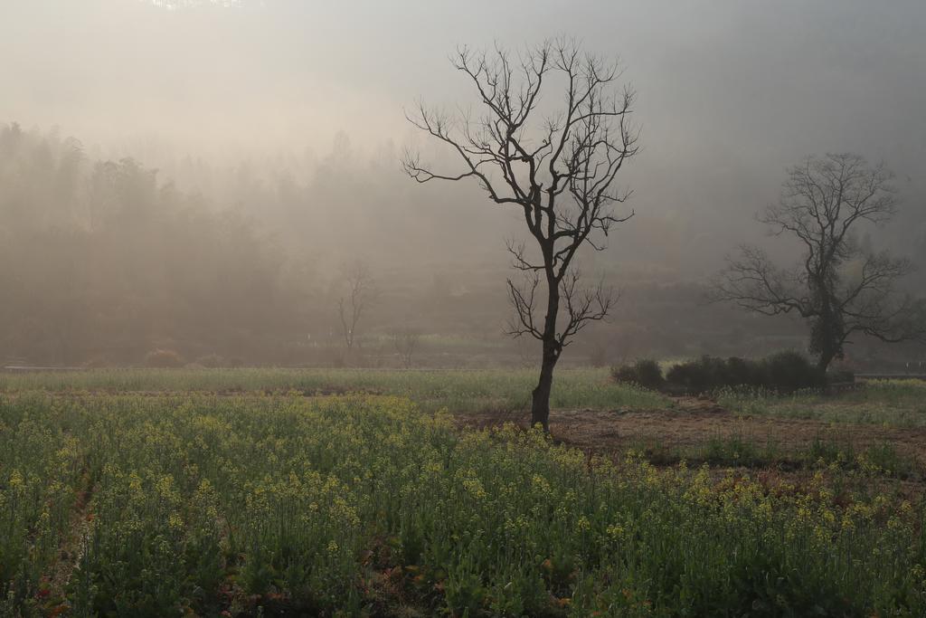 Qingheyue Inn Yi (Anhui) Eksteriør bilde