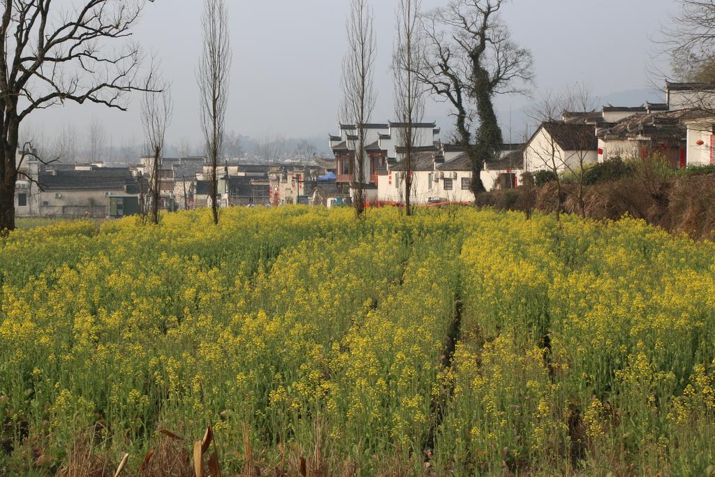 Qingheyue Inn Yi (Anhui) Eksteriør bilde